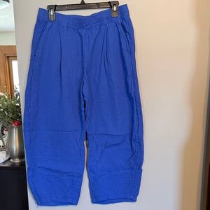 GAP Women's Vibrant Blue Cotton Gauze Easy Barrel Pants